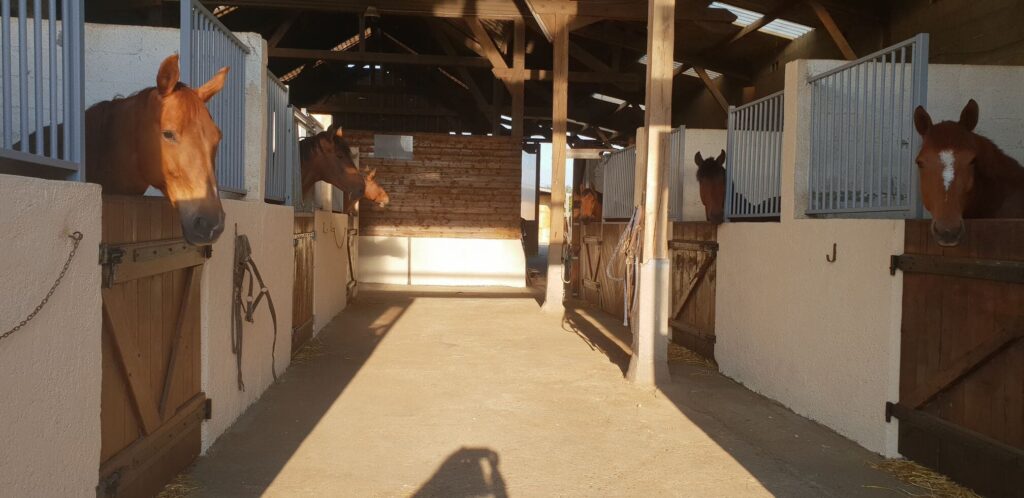 Photo des boxes aux écuries de Laude en Normandie