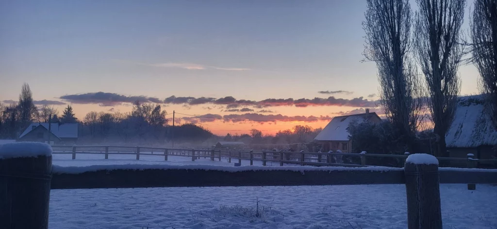 Photo paddock des installations équestres en Normandie