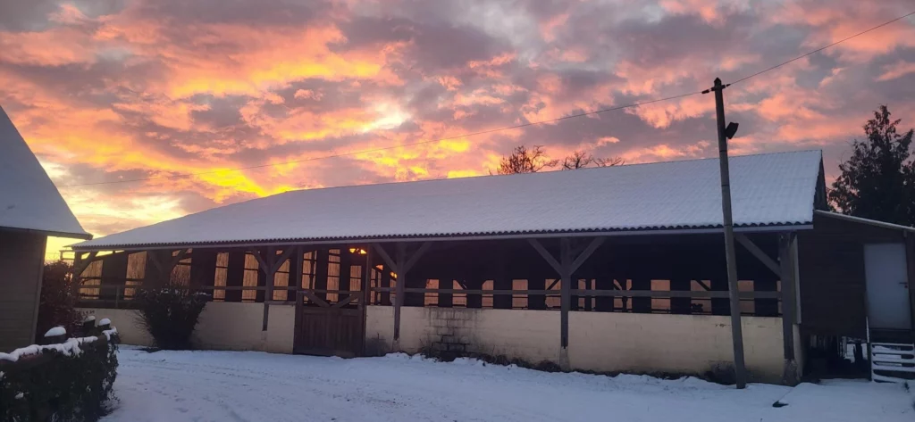 photo manège couvert installation équestre