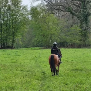 Photo sur l extérieur installations équestre en Normandie
