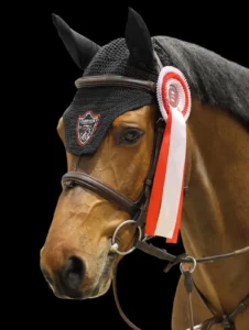 Photo au Jumping International de Bordeaux CSO