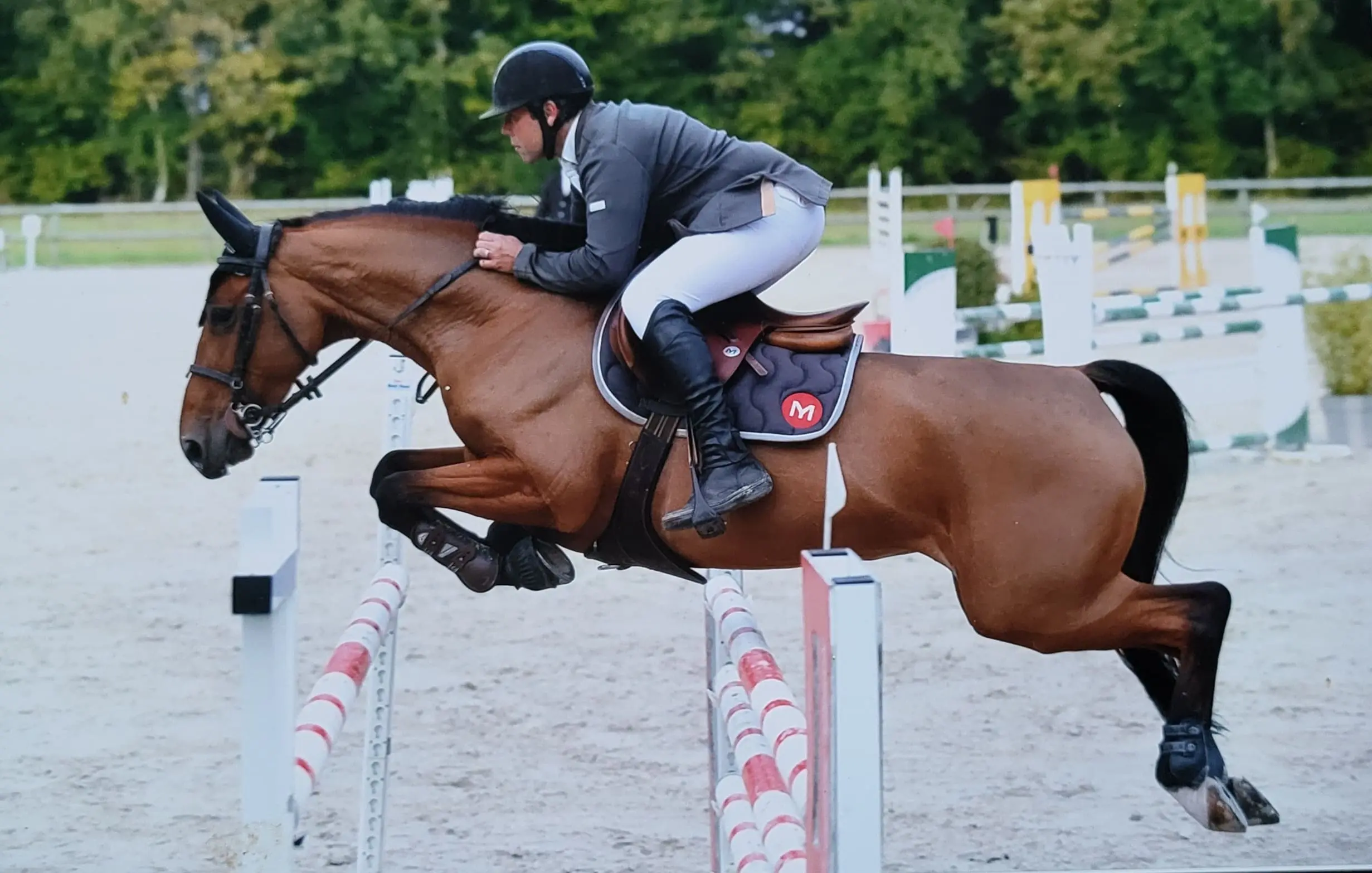 Photo Luc professionnels équestres Normandie