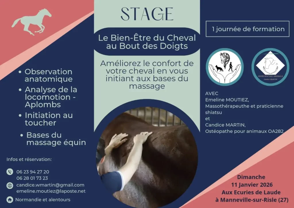 affiche bien-être du cheval aux Écuries de Laude