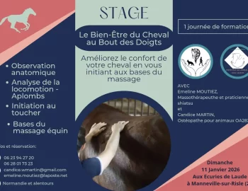 affiche bien-être du cheval aux Écuries de Laude